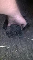 post-4840-0-55992400-1403598410_thumb.jp