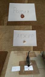 post-4840-0-93519700-1403713474_thumb.jp