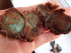 post-4989-0-61356200-1402160715_thumb.jp