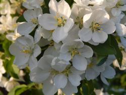 post-4989-0-82259800-1401885419_thumb.jp