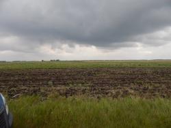 post-4989-0-86949000-1402418891_thumb.jp