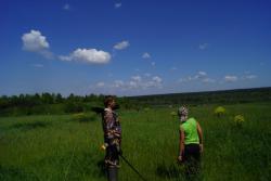 post-5773-0-78840400-1403456021_thumb.jp