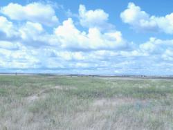 post-6890-0-08170300-1403126689_thumb.jp