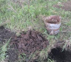 post-10214-0-25450900-1433620340_thumb.j