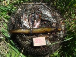 post-10462-0-49439100-1434045933_thumb.j