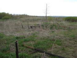 post-12373-0-07588800-1433849761_thumb.j