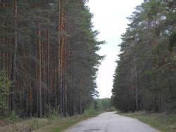 post-12373-0-22139000-1433849293_thumb.j