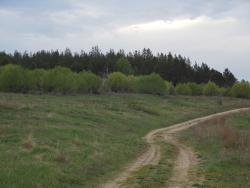 post-12373-0-26671900-1433849304_thumb.j