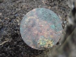 post-12373-0-40923200-1433850853_thumb.j