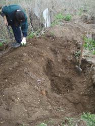 post-12373-0-60171300-1433849959_thumb.j