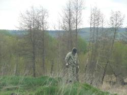 post-12373-0-97306800-1433849803_thumb.j