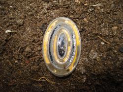 post-12373-0-99586100-1433850657_thumb.j