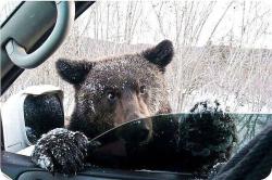 post-14486-0-75891000-1434390944_thumb.j