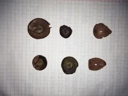 post-17619-0-26797100-1433155641_thumb.j