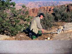 post-26513-0-88938200-1433613572_thumb.j