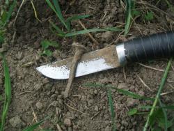 post-26744-0-14429700-1433708928_thumb.j