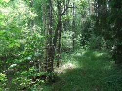 post-26744-0-17192900-1433708583_thumb.j