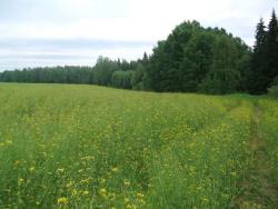 post-26744-0-17494400-1433709202_thumb.j