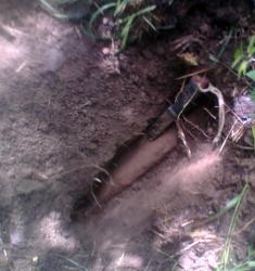 post-26744-0-20665300-1433616361_thumb.j