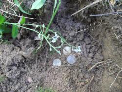 post-26744-0-21399000-1434527787_thumb.j