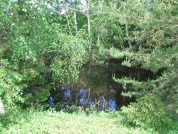 post-26744-0-23862200-1433708756_thumb.j