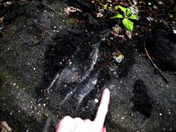 post-26744-0-28412400-1434481877_thumb.j