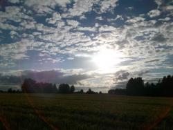 post-26744-0-31533000-1434482062_thumb.j