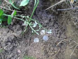 post-26744-0-43513200-1434486010_thumb.j