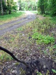 post-26744-0-47795000-1434482017_thumb.j