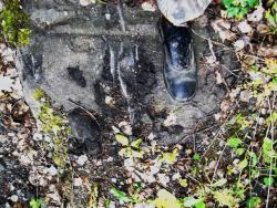 post-26744-0-68398100-1434481924_thumb.j