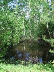 post-26744-0-69480400-1433708818_thumb.j