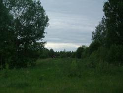 post-26744-0-74414100-1433709213_thumb.j