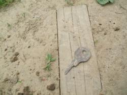 post-26744-0-96616700-1433709227_thumb.j