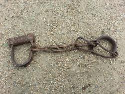 post-28868-0-02817800-1433173707_thumb.j