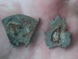 post-2908-0-60358600-1433403575_thumb.jp