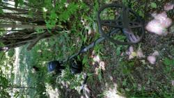 post-30507-0-37921100-1434693459_thumb.j