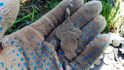 post-31430-0-89969000-1433248824_thumb.j