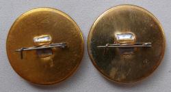 post-32294-0-37547300-1434721779_thumb.j