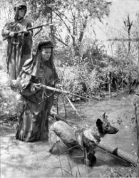 post-32585-0-07268400-1433482388_thumb.j