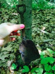 post-33129-0-10001300-1434680064_thumb.j