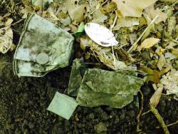 post-33129-0-59005300-1434679953_thumb.j