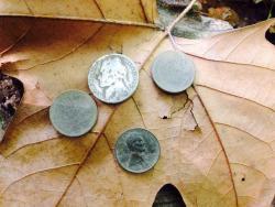 post-33129-0-76753400-1434679941_thumb.j