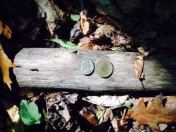 post-33129-0-82807100-1434680044_thumb.j