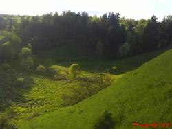 post-33499-0-08005400-1435494611_thumb.j