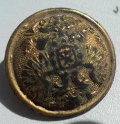 post-33499-0-35831900-1433161015_thumb.j