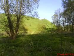 post-33499-0-68475500-1435494508_thumb.j