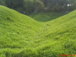 post-33499-0-94752200-1435494587_thumb.j