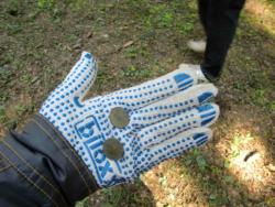 post-34702-0-76695100-1434972015_thumb.j