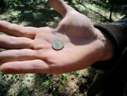 post-34702-0-98142100-1434971883_thumb.j