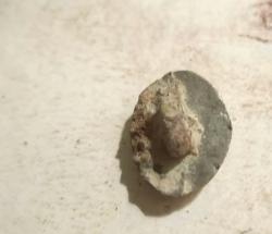 post-7195-0-05960800-1435157440_thumb.jp